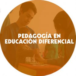 PROSECUCIÓN 2022 PEDAGOGIA EN EDUCACION DIFERENCIAL